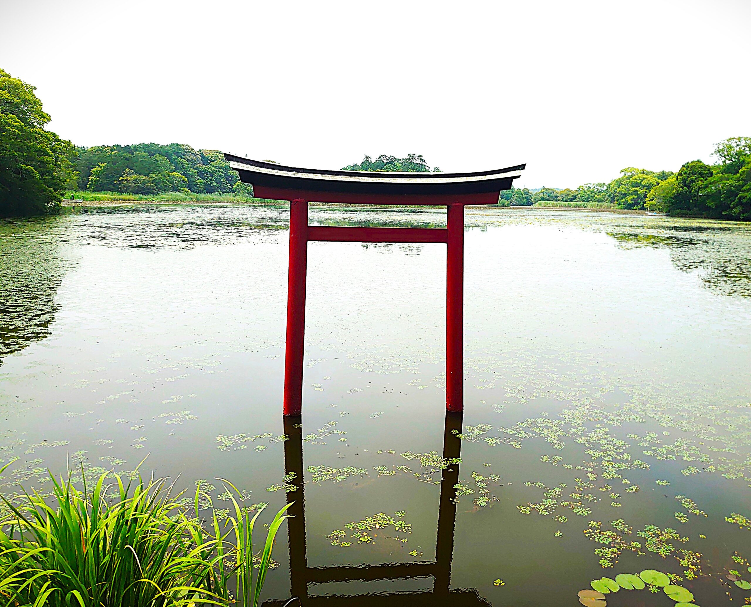 鳥居