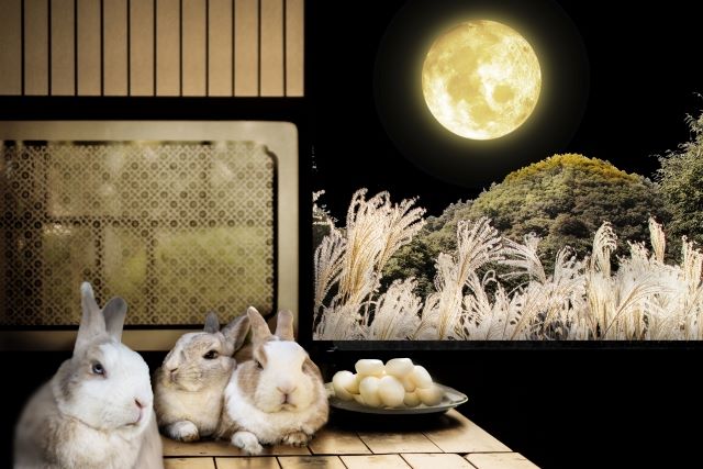 「満月金運アップを象徴する秋の夜。」