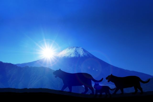 寅の日を象徴する虎が朝日に向かって歩く開運イメージ。