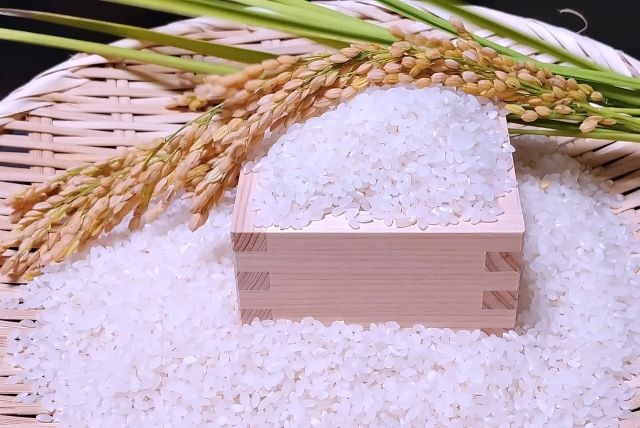 一粒万倍日を象徴する稲穂と光のイメージ