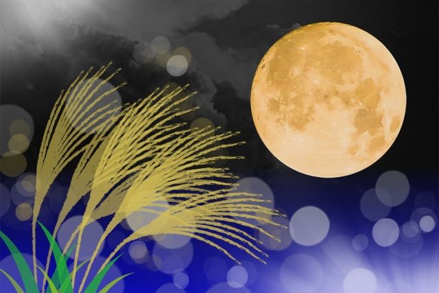 天赦日の夜に満月の光を浴びて浄化されるイメージ