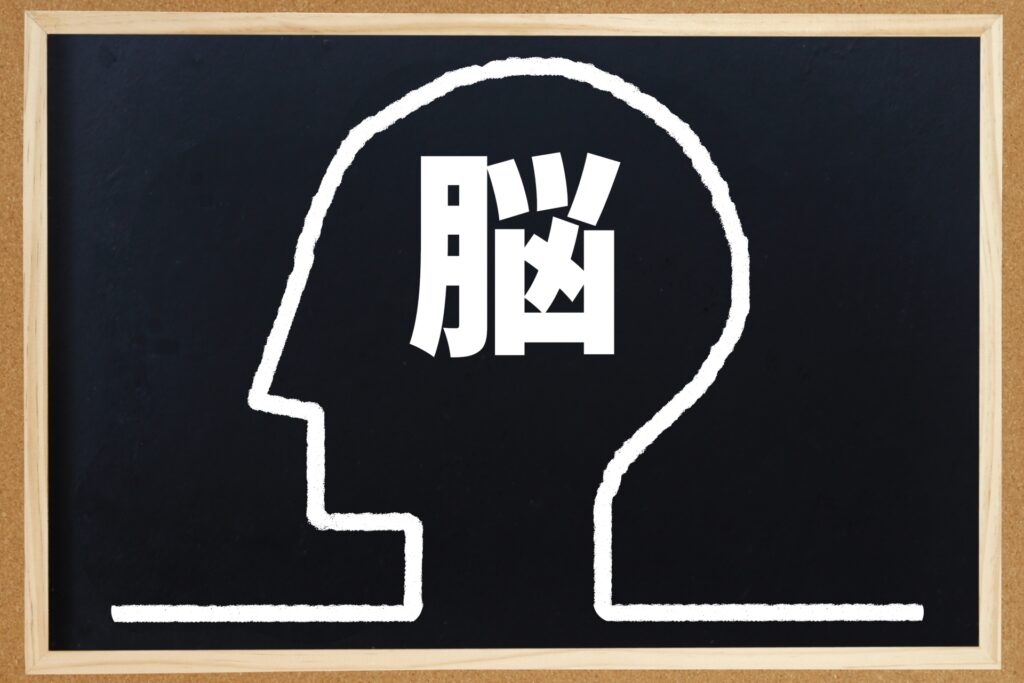 運がいい人の脳科学的特徴を示すイメージ